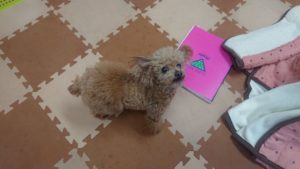 昼のお時間 2020/3/2