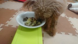 夜のお時間 2020/3/2