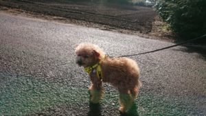 朝のお時間 2020/3/3