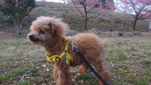 夜のお時間 2020/3/3