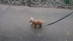 朝のお時間 2020/3/4