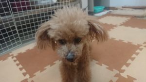 昼のお時間 2020/3/4