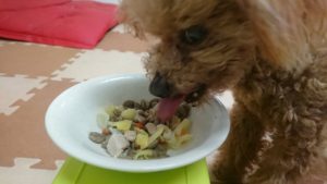 夜のお時間 2020/3/4