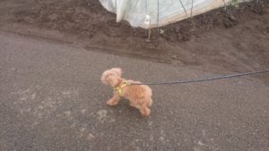 朝のお時間 2020/3/5