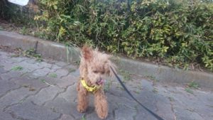 夜のお時間 2020/3/5