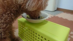 朝のお時間 2020/3/7