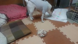 夜のお時間 2020/3/7