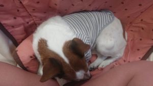 昼のお時間 2020/3/8