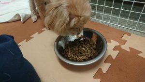 夜のお時間 2020/3/8