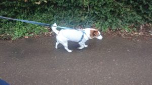 朝のお時間 2020/3/9