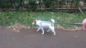 夜のお時間 2020/3/9