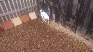 昼のお時間 2020/3/9