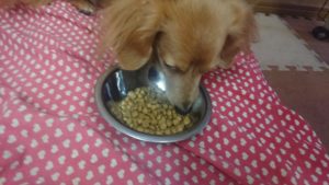 朝のお時間 2020/3/10