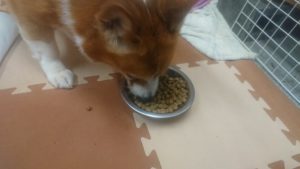 夜のお時間 2020/3/10