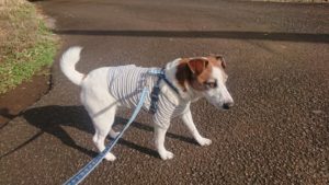 夜のお時間 2020/3/11