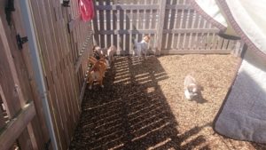 昼のお時間 2020/3/11