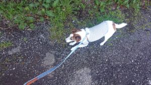 朝のお時間 2020/3/12