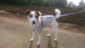 朝のお時間 2020/3/13