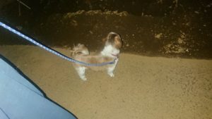 夜のお時間 2020/3/13