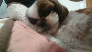 午後のお時間 2020/3/14