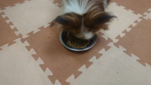 夜のお時間 2020/3/14