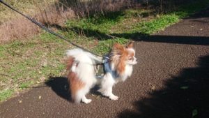 朝のお時間 2020/3/15