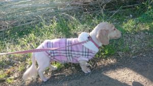 朝のお時間 2020/3/18