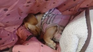 昼のお時間 2020/3/18