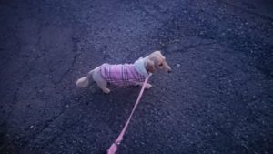 夜のお時間 2020/3/18