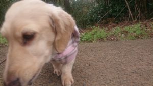 朝のお時間 2020/3/19