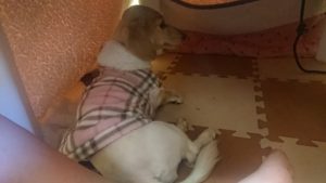 2020/3/19 午後のお時間