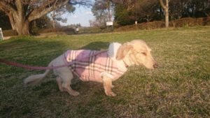 夜のお時間 2020/3/19