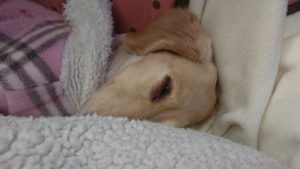 昼のお時間 2020/3/20