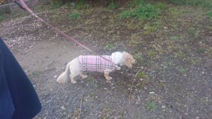 夜のお時間 2020/3/20