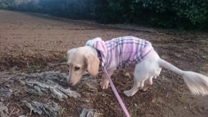 夜のお時間 2020/3/21