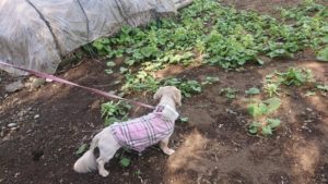 朝のお時間 2020/3/22