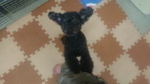 朝のお時間 2020/3/26