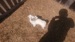 昼のお時間 2020/3/26