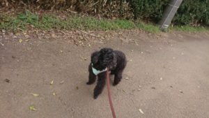 朝のお時間 2020/3/27