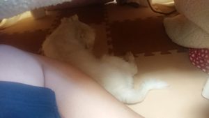 昼のお時間 2020/3/27