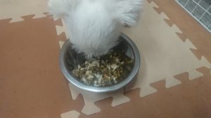 夜のお時間 2020/3/27