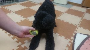 午後のお時間 2020/3/28