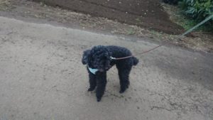 夜のお時間 2020/3/28