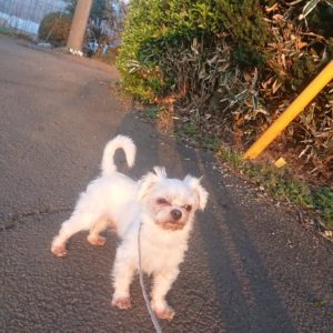 夜のお時間 2020/3/26