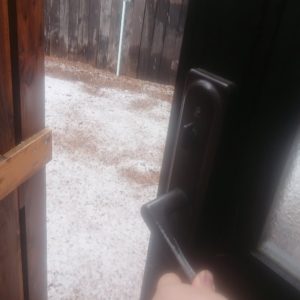 降った！ 2020/3/29