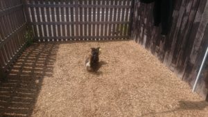 体使って頭も使って