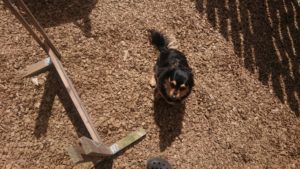 あちぃ～ね～😅