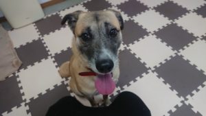 落ち着くところから