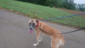 夜のお時間 2020/5/10