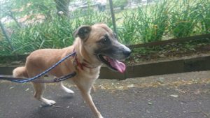 また地震ですね☹️